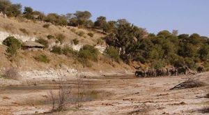 The dry river bed infront of Mena a Kwena – before the river arrived!