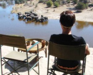 Overlooking the Boteti river from Mena a Kwena Camp
